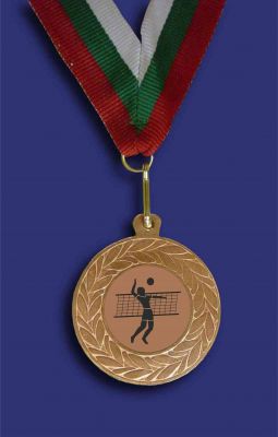 Медал М1035-3-V бронз за волейбол